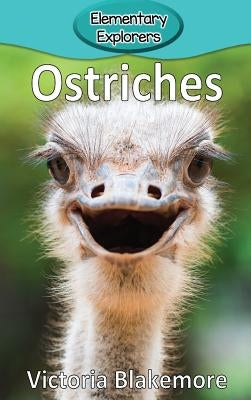 Ostriches by Blakemore, Victoria