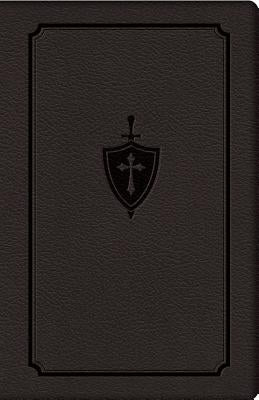 Manual for Conquering Deadly Sin by Kolinski S. J. C., Dennis