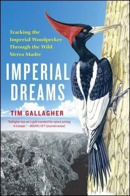 Imperial Dreams: Tracking the Imperial Woodpecker Through the Wild by Gallagher, Tim