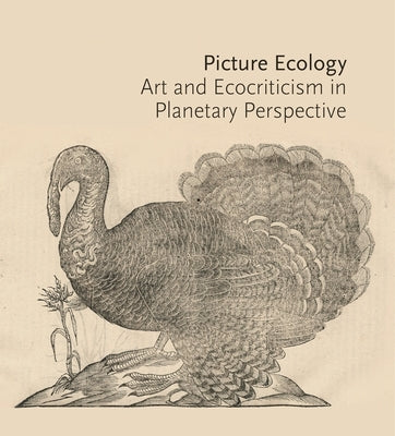 Picture Ecology: Art and Ecocriticism in Planetary Perspective by Kusserow, Karl
