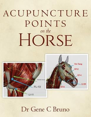 Acupuncture Points on the Horse by Bruno, Gene C.