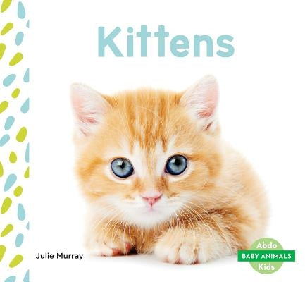 Kittens by Murray, Julie