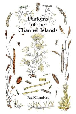 Diatoms of the Channel Islands by Chambers, Paul