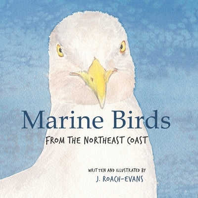 Marine Birds: from the Northeast Coast by Oliveira, Erin