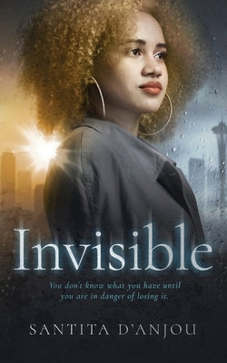 Invisible by D'Anjou, Santita J.