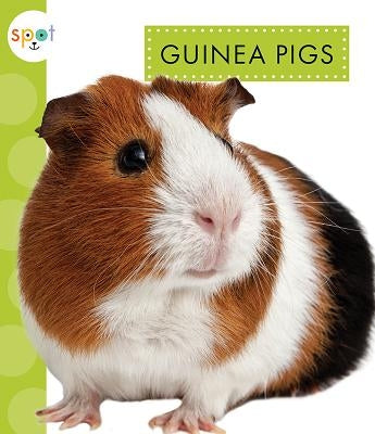 Guinea Pigs by Schuh, Mari C.