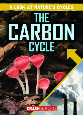 The Carbon Cycle by Jacobson, Bray