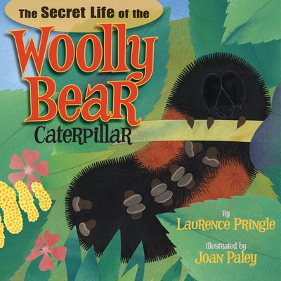 The Secret Life of the Woolly Bear Caterpillar by Pringle, Laurence