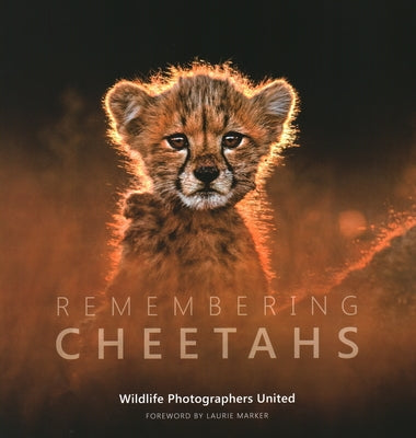 Remembering Cheetahs by Raggett, Margot