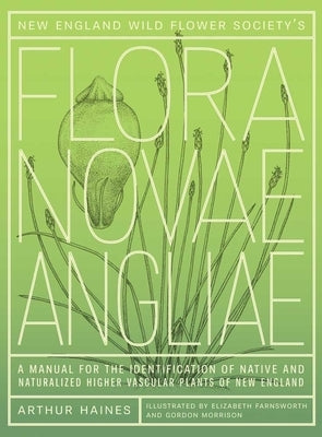 New England Wild Flower Society's Flora Novae Angliae: A Manual for the Identification of Native and Naturalized Higher Vascular Plants of New England by Haines, Arthur