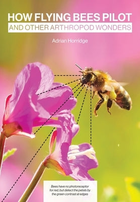 How Flying Bees Pilot, and other arthropod wonders by Horridge, Adrian