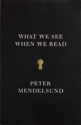 What We See When We Read by Mendelsund, Peter
