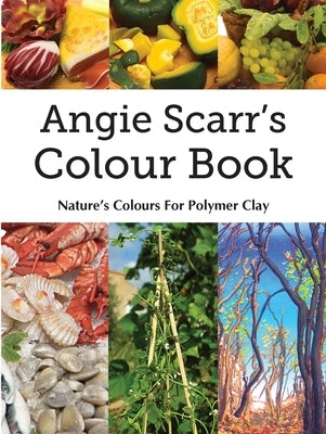 Angie Scarr's Colour Book: Nature's Colours For Polymer Clay by Scarr, Angie