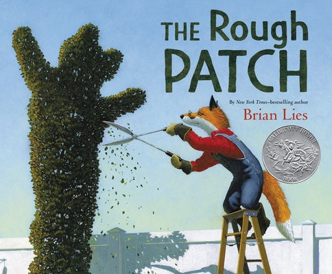 The Rough Patch: A Caldecott Honor Award Winner by Lies, Brian