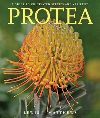 Protea: A Guide to Cultivated Species and Varieties by Matthews, Lewis J.