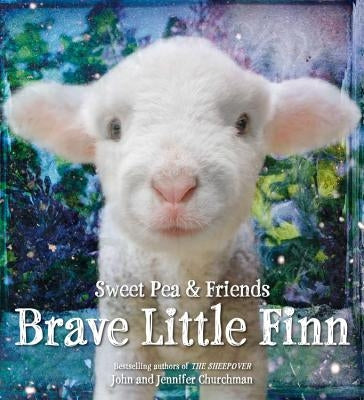 Brave Little Finn by Churchman, Jennifer