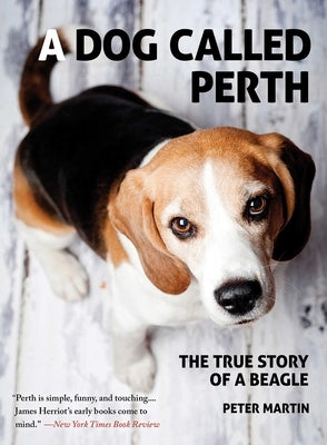 A Dog Called Perth: The True Story of a Beagle by Martin, Peter