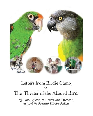 Letters from Birdie Camp: The Theater of the Absurd Bird by Lola Queen of Green and Broccoli