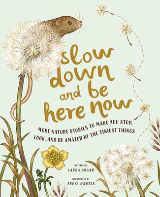 Slow Down and Be Here Now: More Nature Stories to Make You Stop, Look, and Be Amazed by the Tiniest Things by Brand, Laura