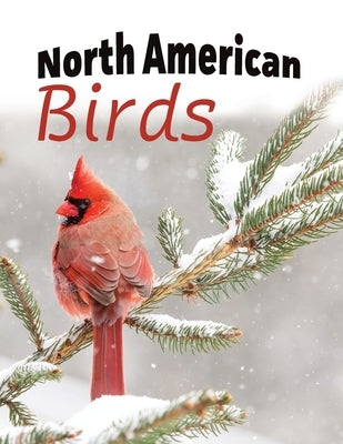 North American Birds by Happiness, Lasting