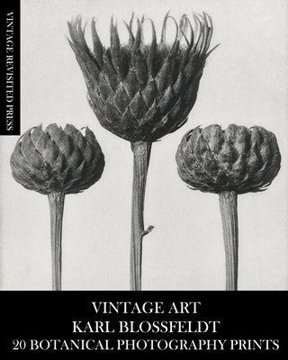 Vintage Art: Karl Blossfeldt 20 Botanical Photography Prints by Press, Vintage Revisited