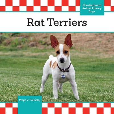 Rat Terriers by Polinsky, Paige V.