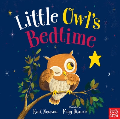 Little Owl's Bedtime by Newson, Karl