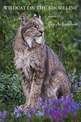 Wildcat on the Shoreline by Jacobus, Lee a.