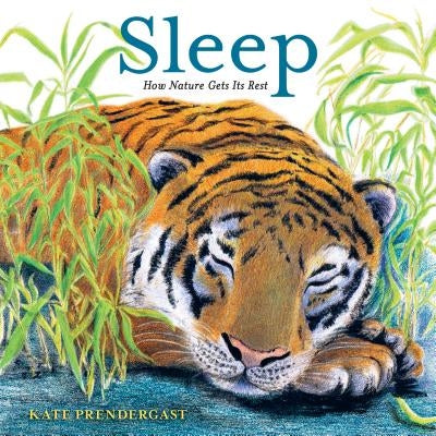 Sleep: How Nature Gets Its Rest by Prendergast, Kate