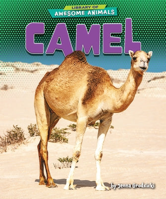 Camel by Grodzicki, Jenna