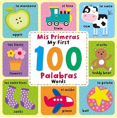 MIS Primeras 100 Palabras: Spanish & English Picture Dictionary by Igloobooks
