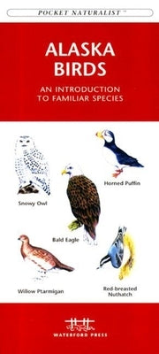 Rocky Mountain Birds: An Introduction to Familiar Species by Kavanagh, James