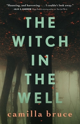 The Witch in the Well by Bruce, Camilla