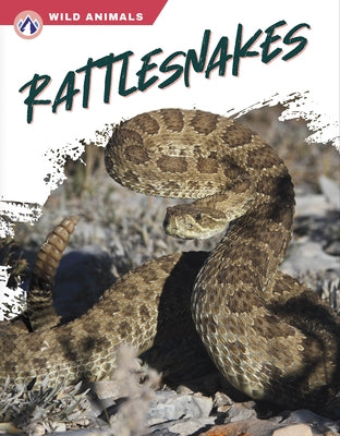 Rattlesnakes by Wilson, Libby