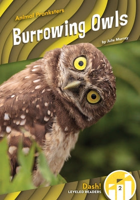 Burrowing Owls by Murray, Julie