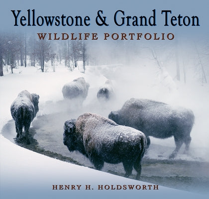 Yellowstone & Grand Teton Wildlife Portfolio (Sc) by Linnehan, Dennis