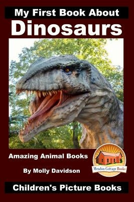 My First Book About Dinosaurs - Amazing Animal Books - Children's Picture Books by Davidson, John