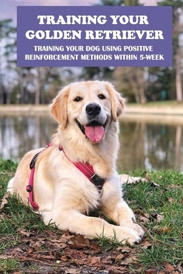 Training Your Golden Retriever: Training Your Dog Using Positive Reinforcement Methods Within 5-Week: Benefits Of Positive Reinforcement by Vizcaino, Keneth