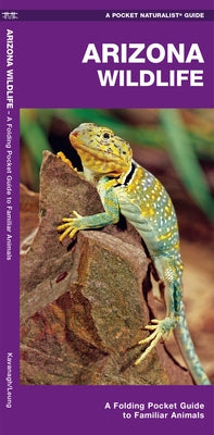 Arizona Wildlife: A Folding Pocket Guide to Familiar Animals by Kavanagh, James
