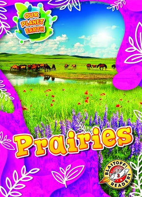 Prairies by Kenney, Karen