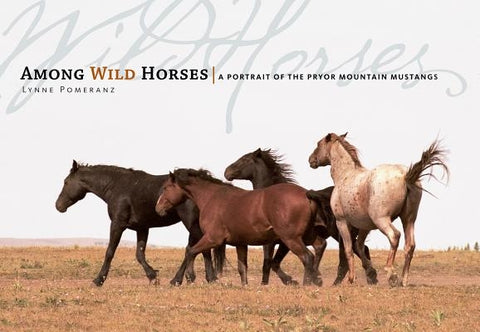 Among Wild Horses: A Portrait of the Pryor Mountain Mustangs by Pomeranz, Lynne