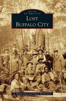 Lost Buffalo City by Gray, R. Wayne