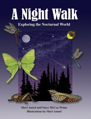 A Night Walk: Exploring the Nocturnal World by Amsel, Sheri