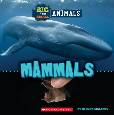Big and Small: Mammals (Wild World) by Maloney, Brenna