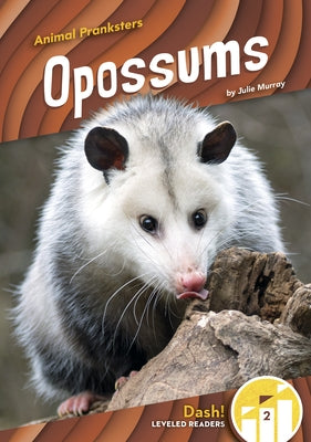 Opossums by Murray, Julie