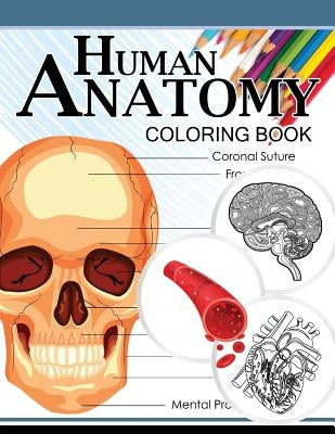 Human Anatomy Coloring Book: Anatomy & Physiology Coloring Book 3rd Edtion by Dr Michael D. Clark
