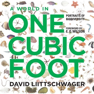 A World in One Cubic Foot: Portraits of Biodiversity by Liittschwager, David
