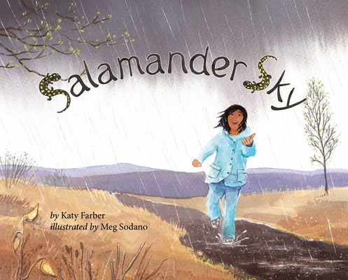 Salamander Sky by Farber, Katy