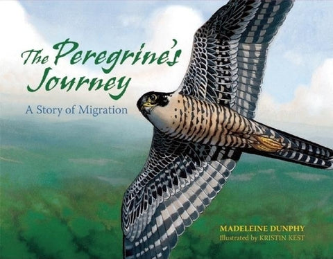 The Peregrine's Journey: A Story of Migration by Dunphy, Madeleine