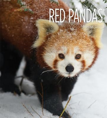 Red Pandas by Gish, Melissa
